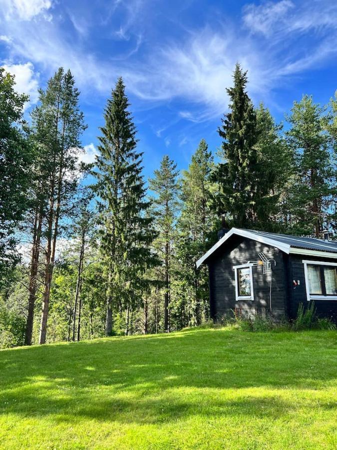 Willa Gemuetliches Blockhaus Im Wald Auktsjaur Zewnętrze zdjęcie