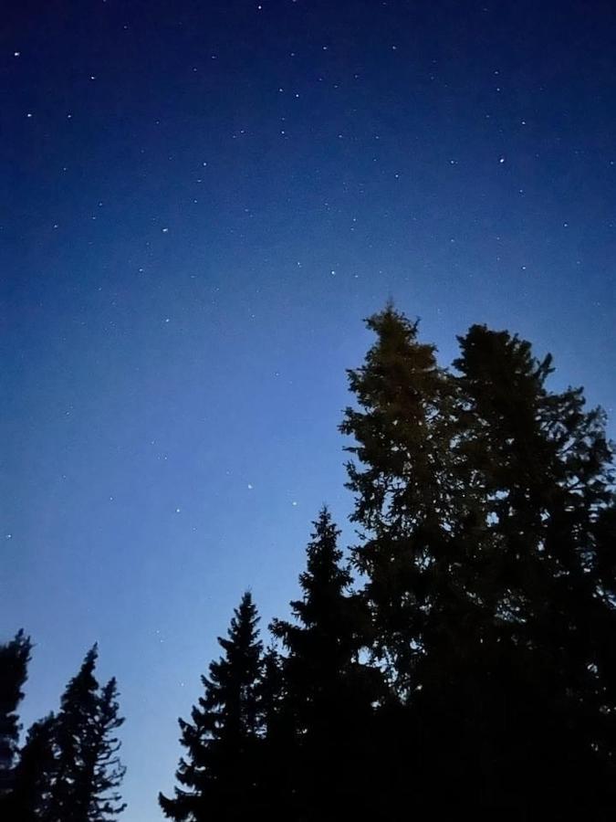 Willa Gemuetliches Blockhaus Im Wald Auktsjaur Zewnętrze zdjęcie